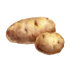 Watercolor whole potatoes on transparent background