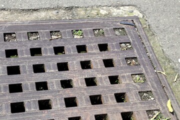 A metal grate with holes on the surface of the road that functions as an entry point for rainwater...