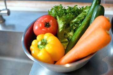 ステンレスボウルに入った沢山の新鮮野菜