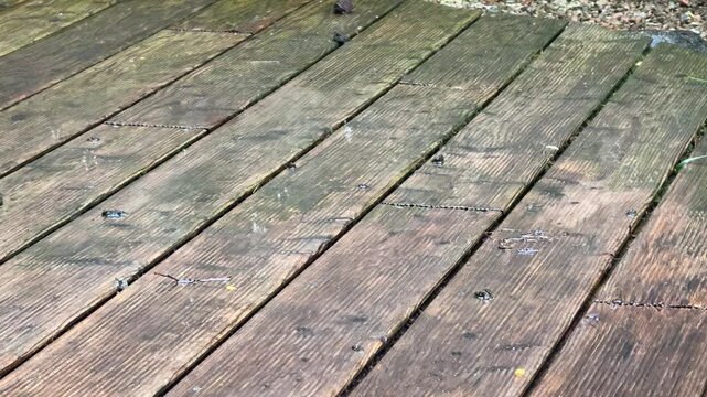 heavy rain pattering on terrace tiles