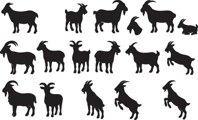 Black goat silhouettes standing and jumping white animal