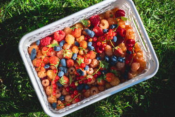 Overflowing white plastic basket filled with vibrant, freshly picked berries like raspberries,...