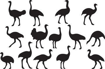 Fototapeta premium Black ostrich silhouettes standing walking and bending bird animal