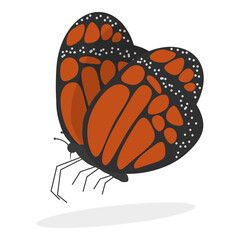 3D Isometric Flat  Set of Colorful Tropical Butterflies. Item 6