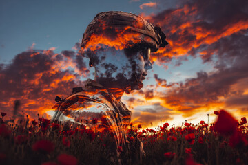 Soldier silhouette against a dramatic sunset sky over a field of red flowers