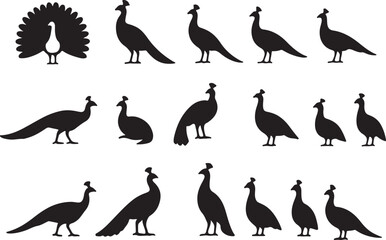 Peacock silhouettes collection bird animal
