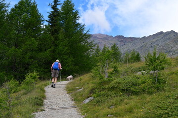 Ein Mann und sein Lagotto Romagnolo Hund wandern im Ultental in Südtirol 