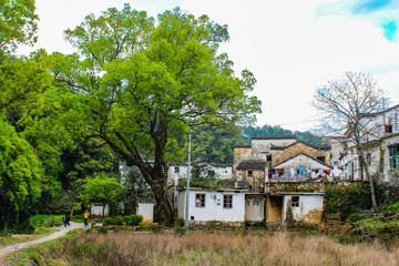 Ancient Chinese Village With Black Walls And White Tiles In Rural Countryside
