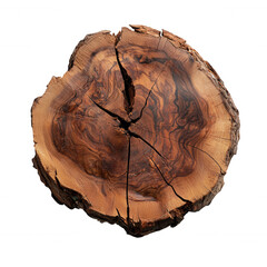 Tree section cross for revealing intricate cracks and growth rings, isolated against a transparent background trunk versatile use