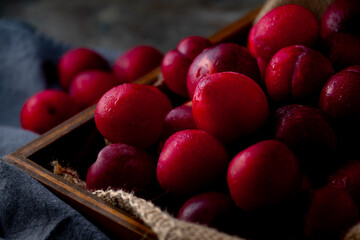 Delicious and Juicy Red Plums.

Vibrant red plums, ripe and ready to eat, arranged in a wooden...