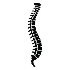 Stylized silhouette of a human spinal column