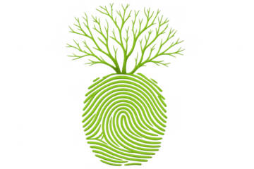 Green fingerprint growing branches representing nature and transparent background