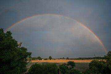 rainbow over the field