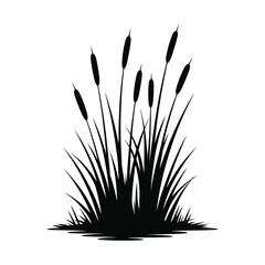 Black silhouette of cattails and grass on white background