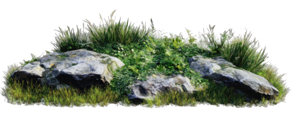 Rocky outcrop with greenery (1)