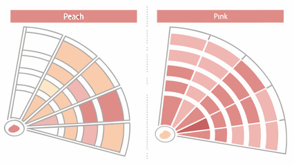 Peach and pink color palette guide for designers, artists, and decorators seeking harmonious color schemes ideas