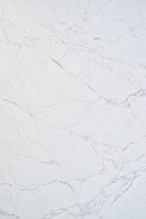 Obraz premium White Marble Texture with Veins - Abstract Background