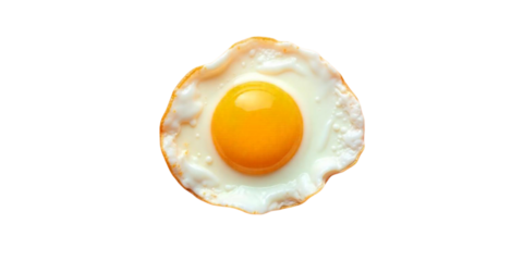 fried egg on white background