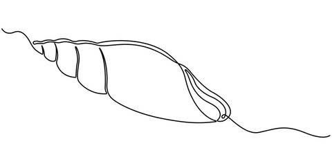 Continuous one line drawing of conch snail shell. Marine animal concept continuous line art. Single line art. Conch snail seashell in simple linear style. Editable stroke. Doodle Vector illustration