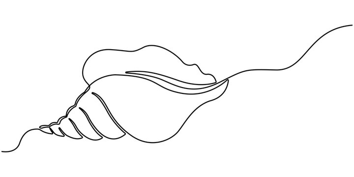 Continuous one line drawing of conch snail shell. Marine animal concept continuous line art. Single line art. Conch snail seashell in simple linear style. Editable stroke. Doodle Vector illustration