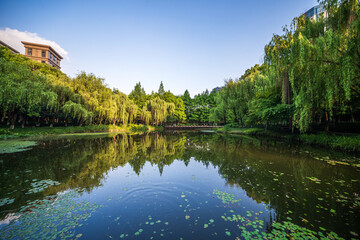 Tranquil Reflections: A Serene Park Scene Captured at Sunrise