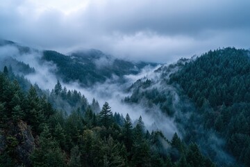 Misty mountain range draped in clouds