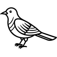 Fototapeta premium Cuckoo vector illustration perfect for posters, icon, t-shirts, cards, wall art prints and ai design.