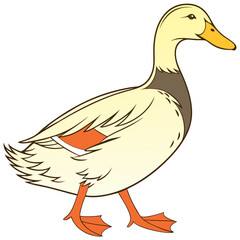 Duck  vector illustration perfect for posters, icon, t-shirts, cards, wall art prints and ai design.