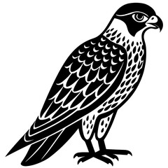 Falcon  vector illustration perfect for posters, icon, t-shirts, cards, wall art prints and ai design.