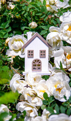 The symbol of the house among the branches of the white rose
