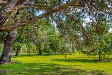 Royal Botanic Gardens Victoria. They were founded in 1846 on the south side of the Yarra River, with trees, garden beds, lakes and lawns. Melbourne, Australia, Dec 2019