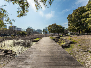 Tranquil Pathway Through a Sunlit Urban Park Surrounded by Nature