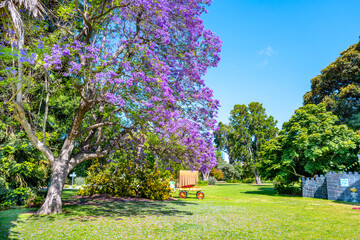 Royal Botanic Gardens Victoria. They were founded in 1846 on the south side of the Yarra River,...