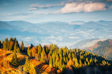 A splendid panoramic view of forested mountains and sunny valleys. Carpathian mountains, Ukraine, Europe.
