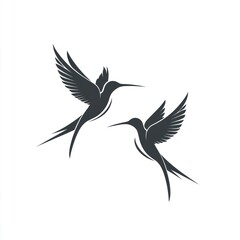 Fototapeta premium Two hummingbirds in flight (2)