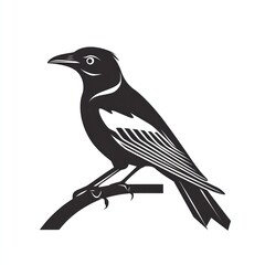 Silhouette of a crow perched on a branch