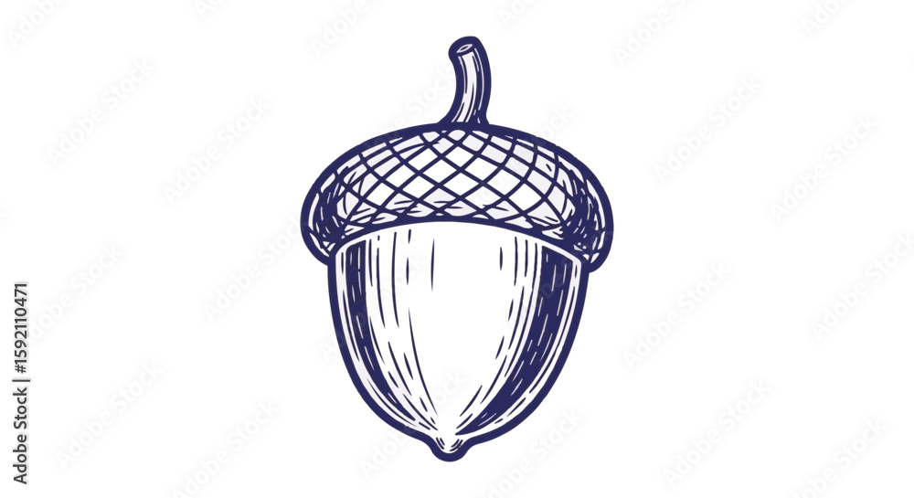Aufkleber acorn design illustration with hand drawn lines on transparent background. acorn graphic element is 