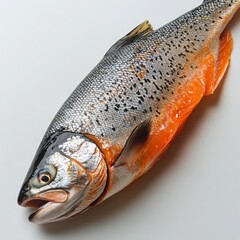 Close up view of a whole trout fish showing its silver scales and orange coloring on a white surface