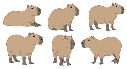 Obraz premium Cartoon capybara characters in various poses on white background 