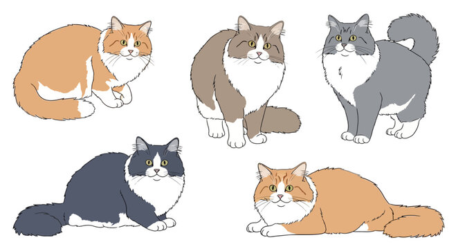 Group of five illustrated ragamuffin cats in various poses 
