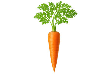 Fresh carrot with green leaves on transparent background