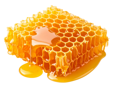 Angled Honeycomb Slab with Honey Pooled Beneath and Side Drips, Realistic Shine, isolated on transparent background PNG