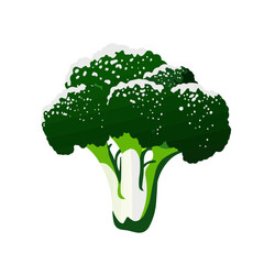 Broccoli vector illustration with fresh design for body health and cooking