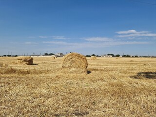 Round haystack in a field against a blue sky