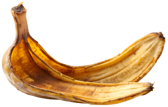 illustration of  dried Banana peel generative ai - Powered by Adobe