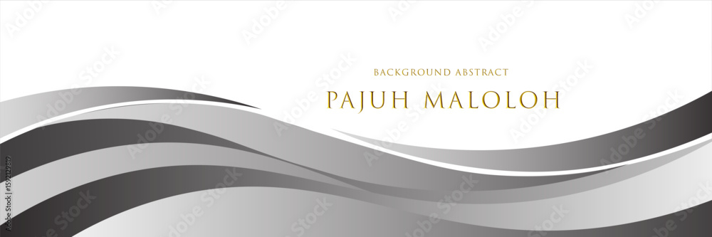 Poster vector grey line background curve element with white space for text and message design, overlapping 