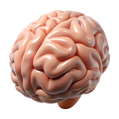 Detailed 3d render of a human brain showing intricate gyri and sulci isolated on transparent background