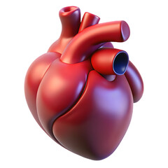 Stylized 3d rendering of a red human heart with arteries and veins isolated on transparent background