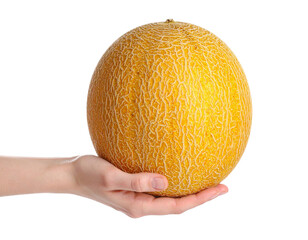 Whole melon held in hand isolated on transparent background