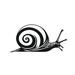 Black and white snail illustration